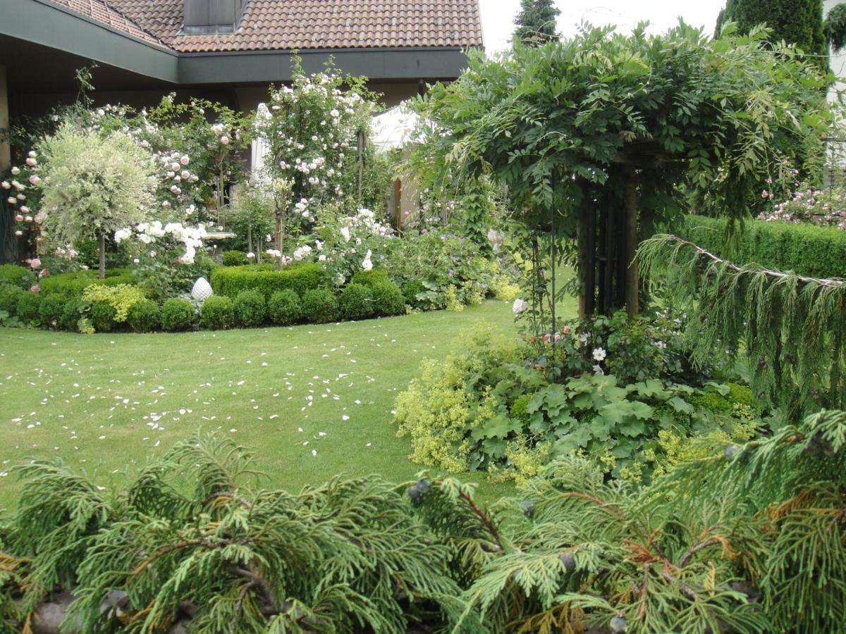 Charming And Cosy Apartment Near Lucerne Romerswil Exterior foto
